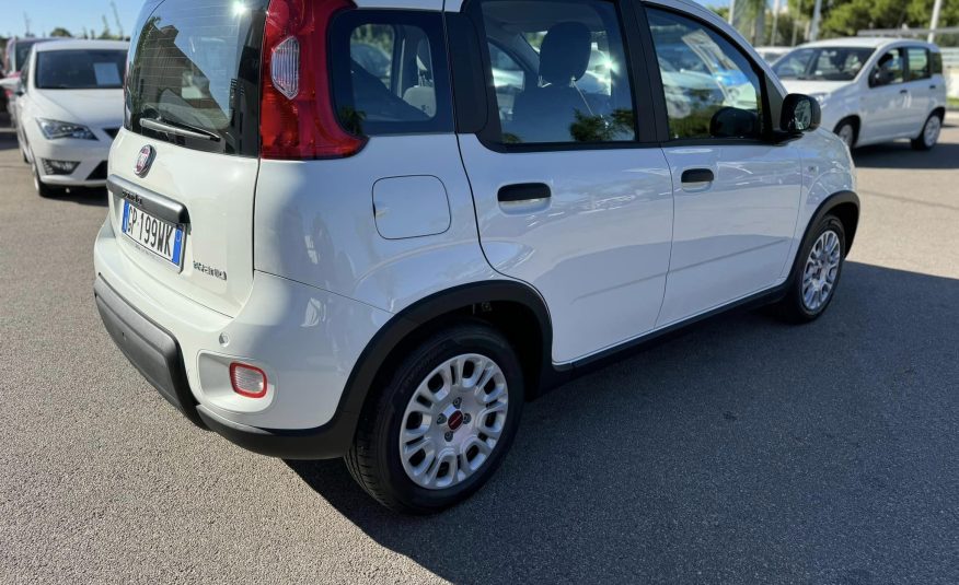 Fiat Panda MY23 1.0 Hybrid 70 Cv.