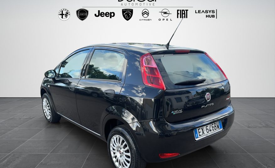 Fiat Punto 1.4 Bz-Metano 77 Cv. 5 porte Street