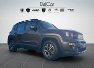 JEEP Renegade 1.6 MJT 120 Cv. Automatic Business